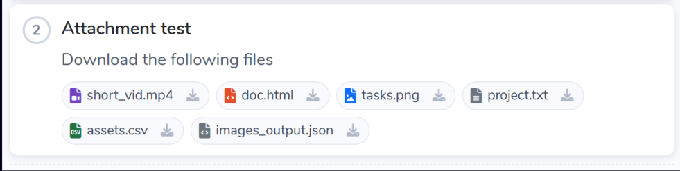 Screenshot of File Attachment Interface